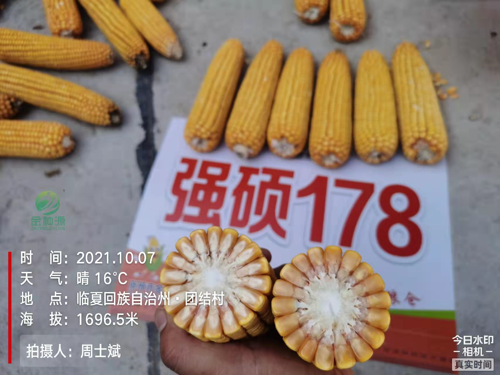強(qiáng)碩178